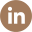 Icone linkedin